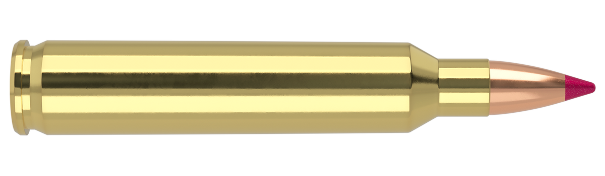 Nosler - Ballistic Tip Lead Free Ammunition - .204 Ruger - 32gr - BTLF - 20/ask