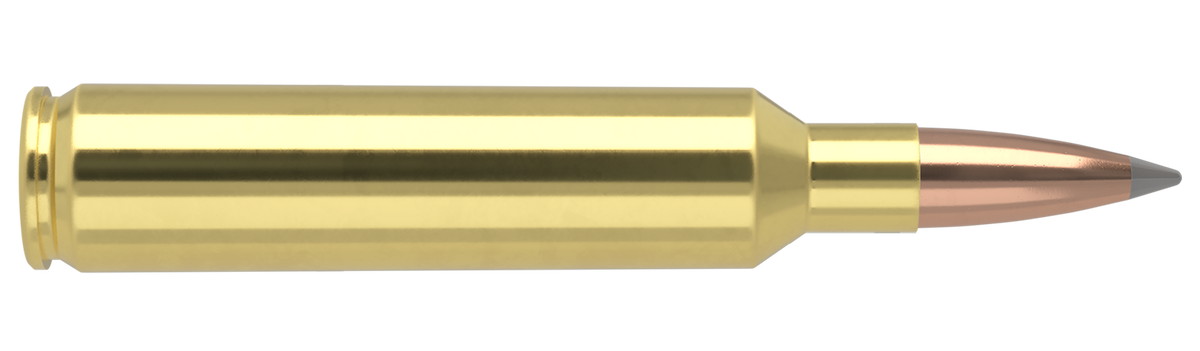 Nosler - Trophy Grade Ammunition - 27 Nosler - 165gr - ABLR - 20/ask