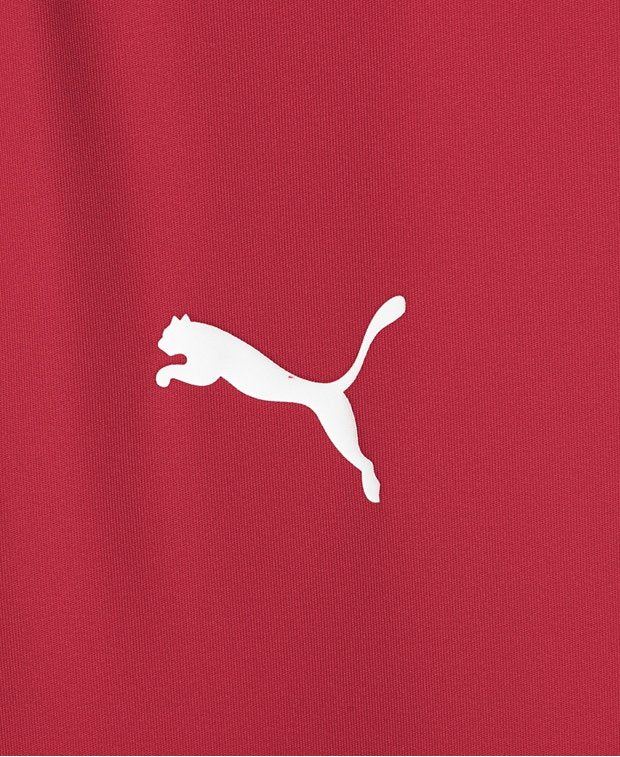 Puma - RangeMaster - Shirt
