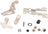 Sig Sauer - P320 AXG Controls parts kit - Nickel