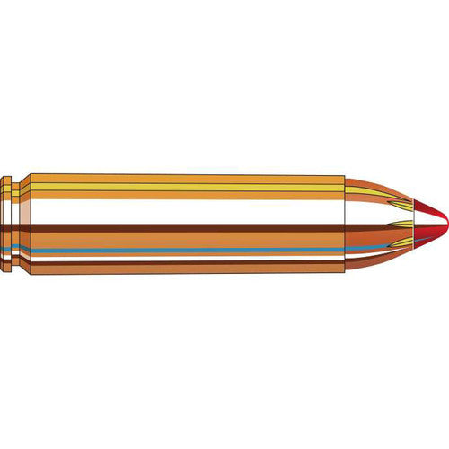 Hornady - Custom Ammunition - 450 Bushmaster - 250gr - FTX - 20/Box