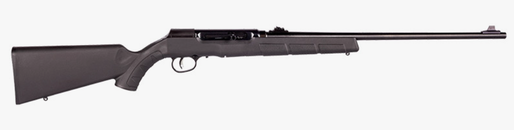 Savage - A22 22 LR - 22"