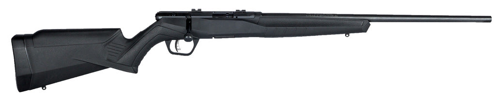 Savage - B17 F 17 HMR 21"