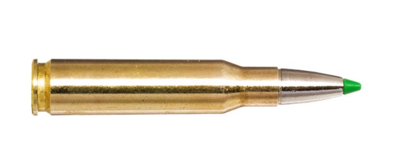 Norma - Ecostrike - 308 Win - 9,7g/150gr - 20/ask