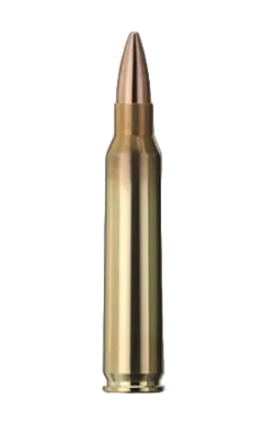 Geco - .223 - Target FMJ - 3.6g/55gr - 50/ask