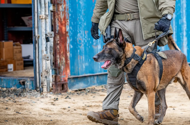 5.11 - Aros K9 Harness