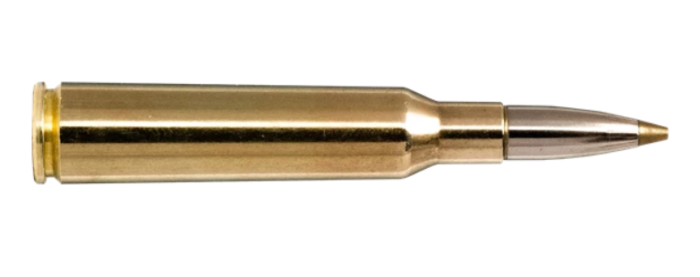 Norma - Evostrike - 6.5x55 - 6.0g/93gr - 20/ask