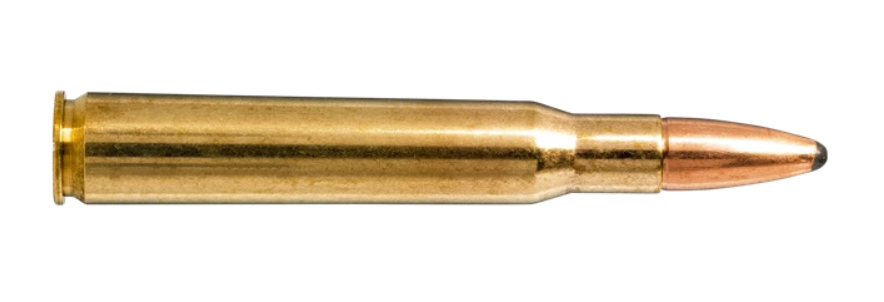 Norma - .30-06 Springfield - Oryx - 10,7g/165gr - 20/ask