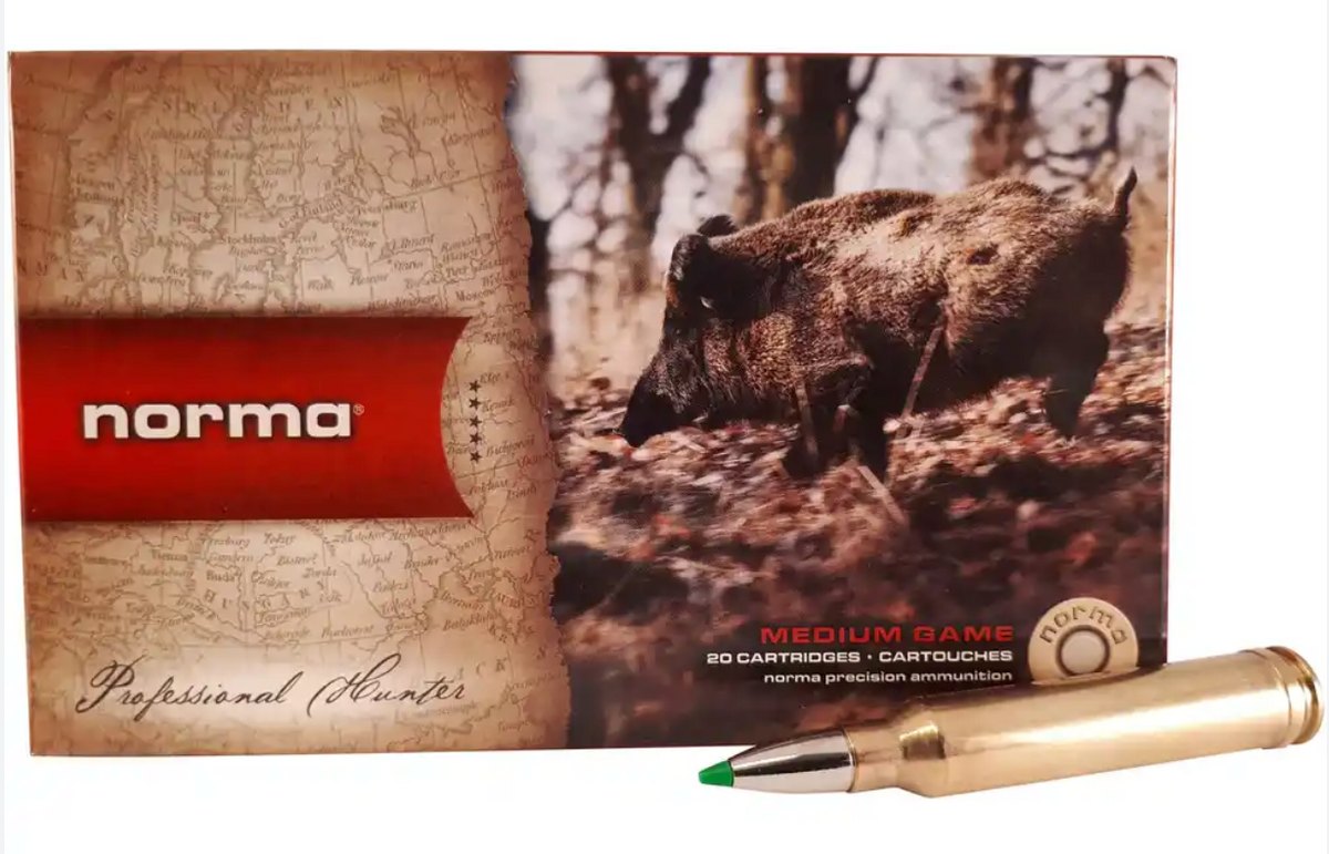 Norma - CTG .300 Win Mag - 150gr - ECOSTRIKE - 20/ask