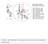 Dillon - Slide Roller Bolt for Dillon Square Deal - #13809
