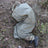 Snigel - Light field blanket 1.0
