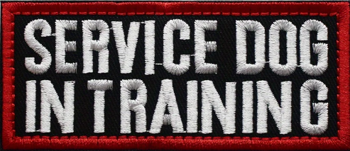 Service dog in training - Svart/röd - Patch