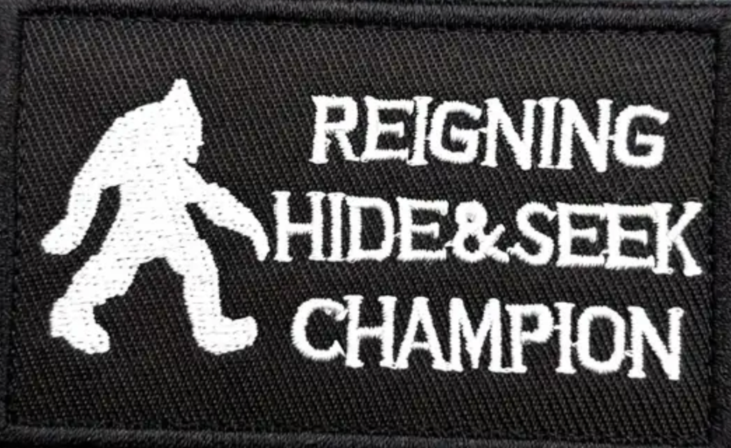 Reigning hide and seek champion - Patch