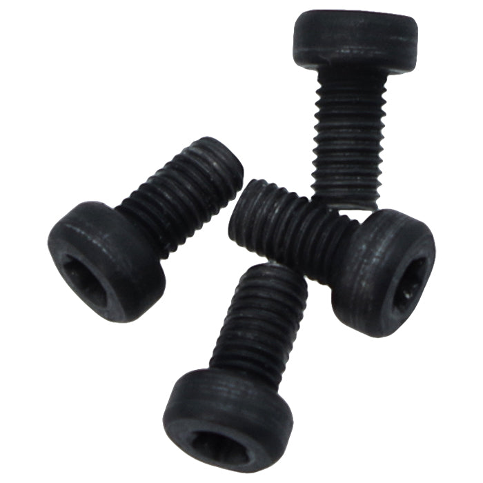 Ruger - Mounting Screw 10/22 - Original Fästskruv - #16