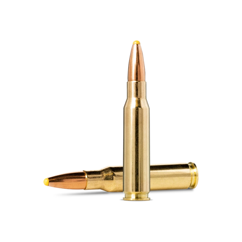 Norma - .308 Win - Plastic Point - 11.0g/180gr - 20/ask