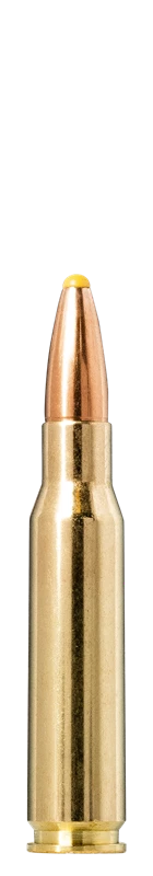 Norma - .308 Win - Plastic Point - 11.0g/180gr - 20/ask