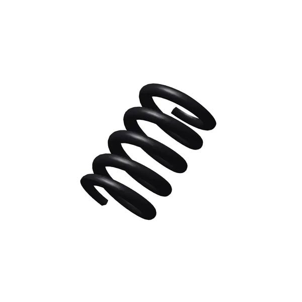 CZ - Extractor Spring