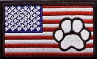 USA tass - Patch