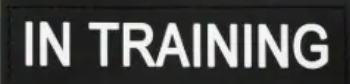 In training - Svart  - Patch