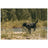 5.11 - Mission Ready Dog Colar - Badlands Tan Punc-Tarn (1055)