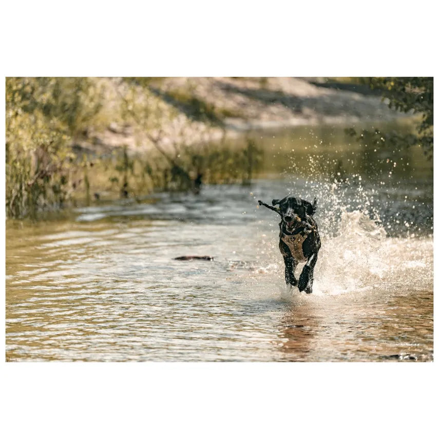 5.11 - Mission Ready Dog Colar - Badlands Tan Punc-Tarn (1055)