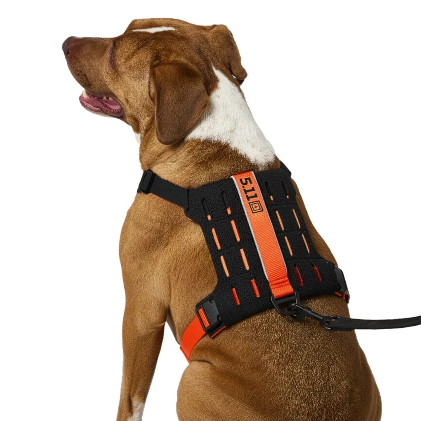 5.11 - Mission Ready Dog Harness 2.0 - Fluorescent Orange (400)