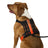 5.11 - Mission Ready Dog Harness 2.0 - Fluorescent Orange (400)