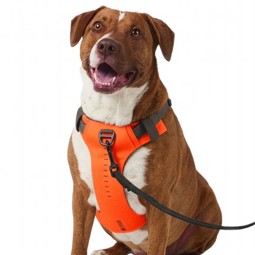5.11 - Mission Ready Dog Harness 2.0 - Fluorescent Orange (400)