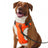 5.11 - Mission Ready Dog Harness 2.0 - Fluorescent Orange (400)