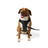 5.11 - Mission Ready Dog Harness 2.0 - Volcanic (098)