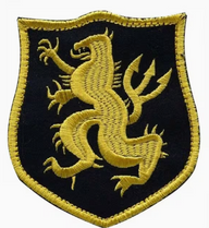 Seal Team 6 - Gul/Svart - Patch