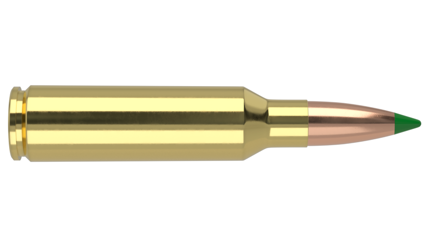 Nosler - Ballistic Tip Hunting - 300 WSM - 165g - BT SP - 20/ask