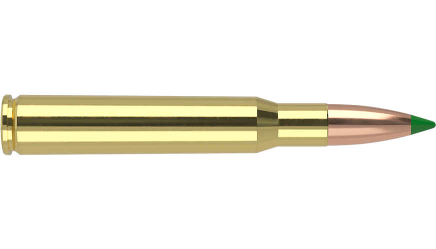 Nosler - Ballistic Tip Hunting - 30-06 Sprg - 180g - BT SP - 20/ask