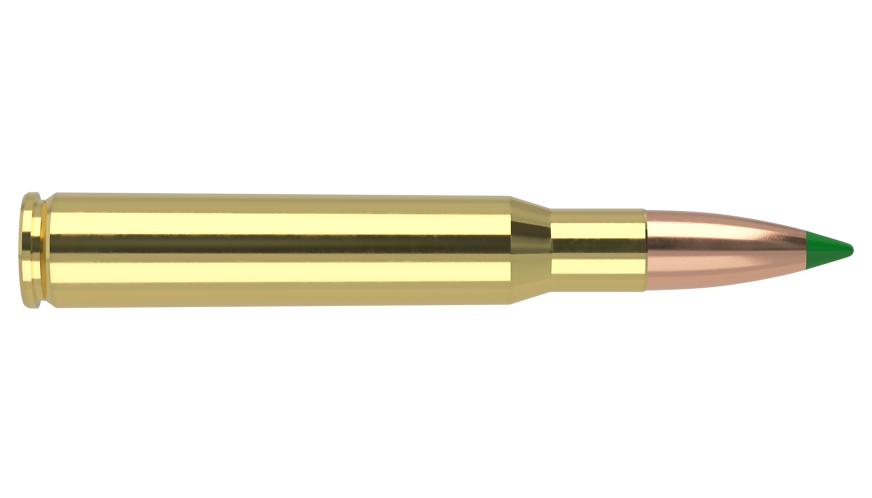 Nosler - Ballistic Tip Hunting - 30-06 Sprg - 125g - BT SP - 20/ask
