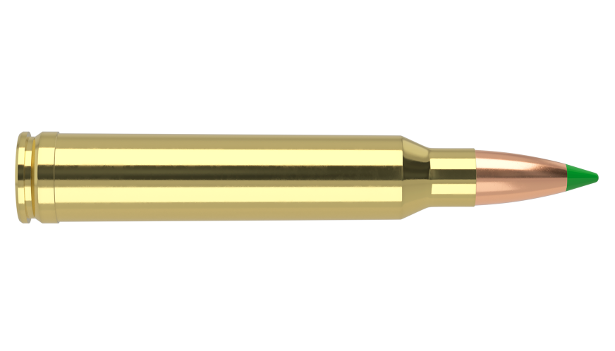 Nosler - Ballistic Tip Hunting - 300 Win Mag - 180g - BT SP - 20/ask