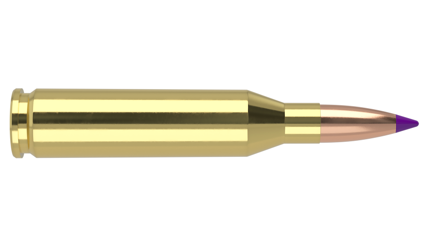 Nosler - Ballistic Tip Hunting - 243 Win - 90g - BT SP - 20/ask