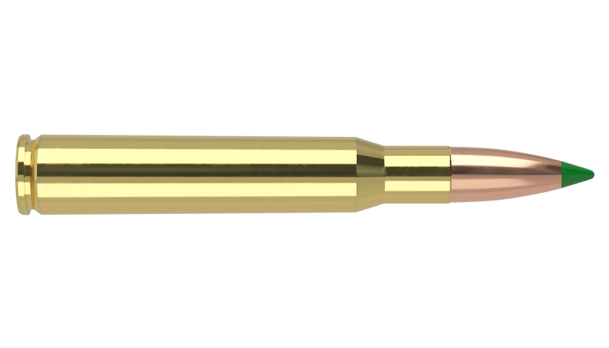 Nosler - Ballistic Tip Hunting - 30-06 Sprg - 165g - BT SP - 20/ask