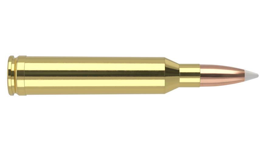 Nosler - Trophy Grade Ammunition - 7mm PRC - 160g - AB - 20/ask