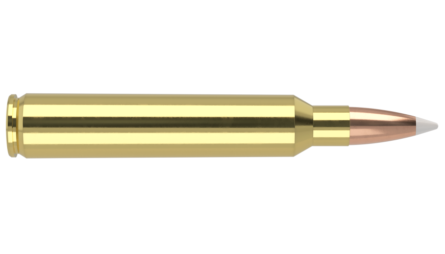 Nosler - Trophy Grade Ammunition - 300 RUM -200g - AB SP - 20/ask