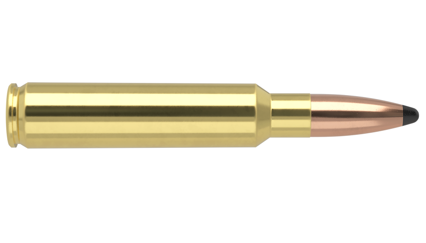 Nosler Trophy Grade Ammunition - 33 Nosler - 250g - PT SP - 20/ask