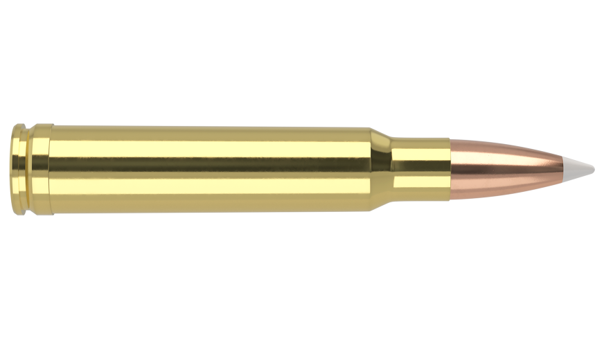 Nosler - Trophy Grade Ammunition - 338 Win Mag - 250g - AB SP - 20/ask
