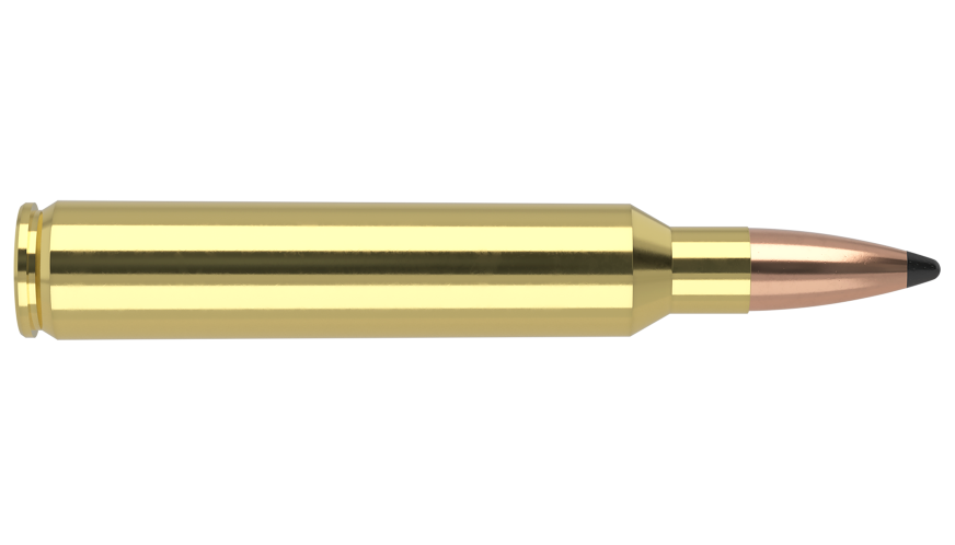 Nosler - Trophy Grade Ammunition - 300 RUM - 180g - PT SP - 20/ask