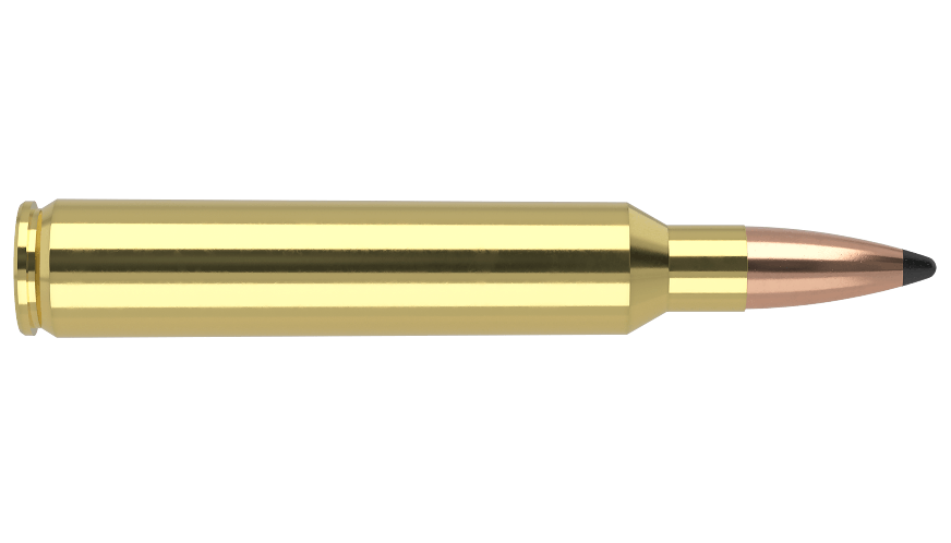Nosler -Trophy Grade Ammunition - 300 RUM - 165g - PT SP - 20/ask