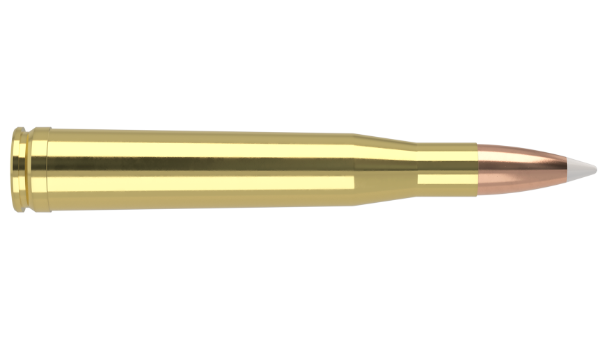 Nosler - Trophy Grade Ammunition - 300 H&H - 180g - AB SP - 20/ask