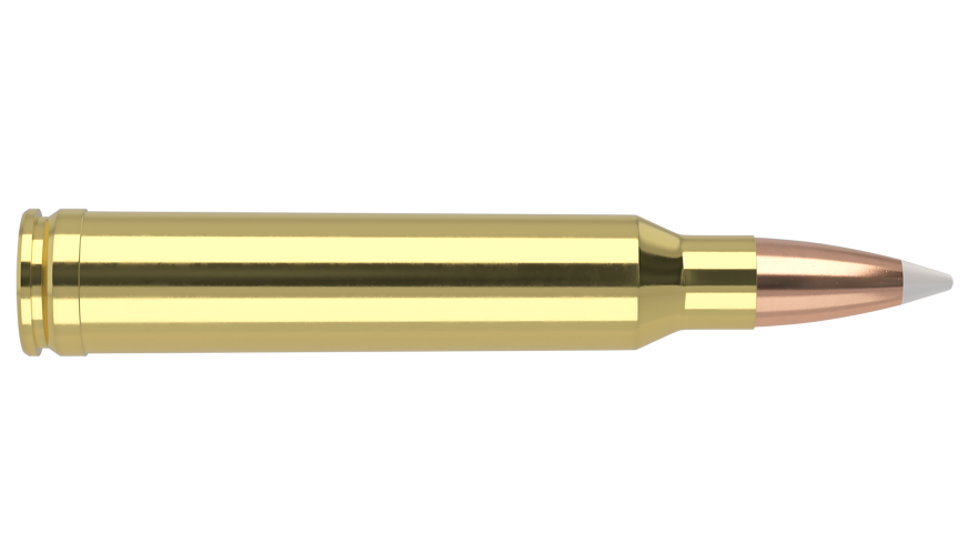 Nosler - Trophy Grade Ammunition - 300 Win Mag - 180g - AB SP - 20/ask