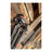 BOG DeathGrip Clamping tripod aluminium Svart – bild 5