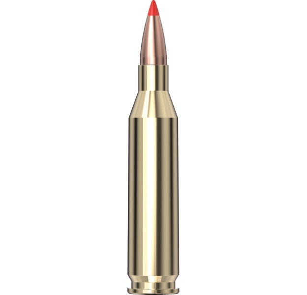Hornady - Custom 243 Win 87 gr V-MAX - 20/Box