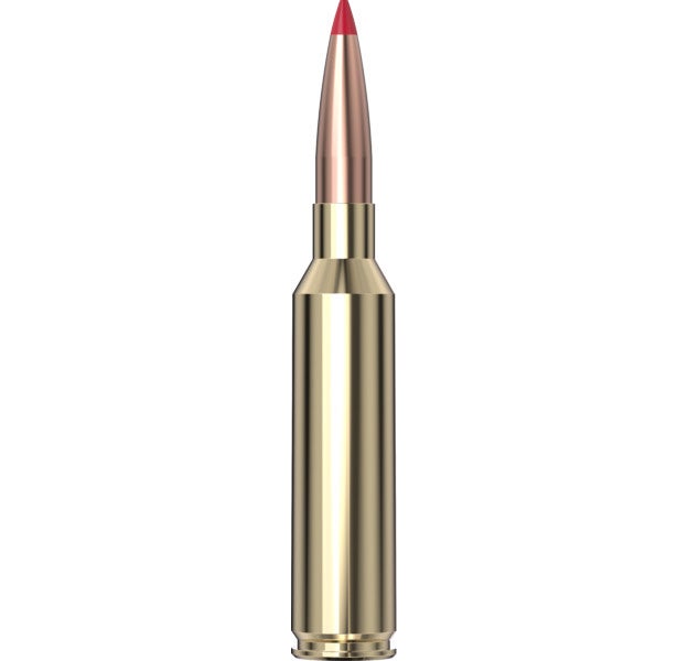 Hornady - Precision Hunter 7mm PRC 175 gr ELD-X - 20/Box