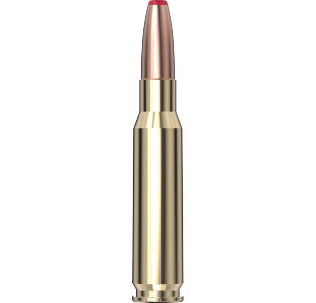 Hornady - International 308 Win 125 gr ECX - 20/Box