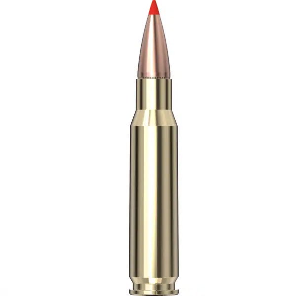 Hornady - American Whitetail Tipped 308 Win 150 gr SST - 20/Box